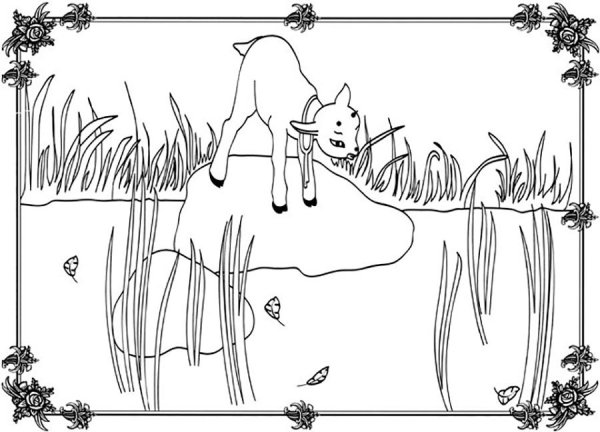 Сестрица алёнушка и братец Иванушка