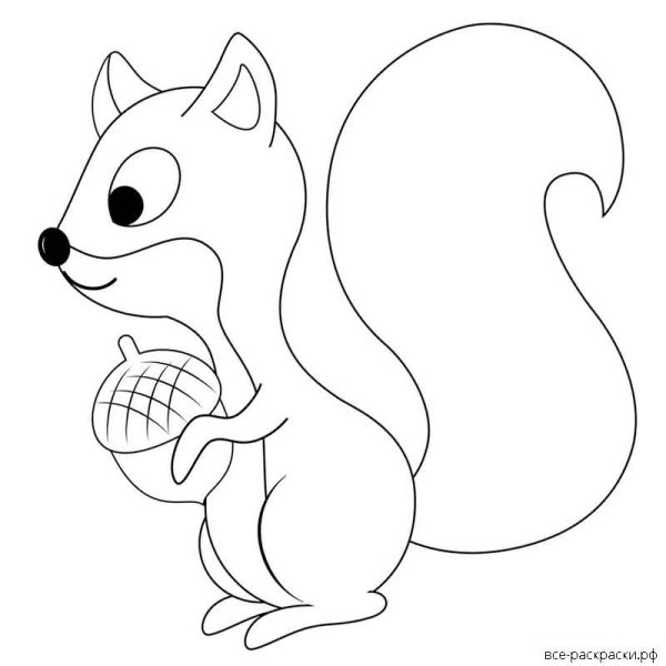 Белочка раскраска для детей