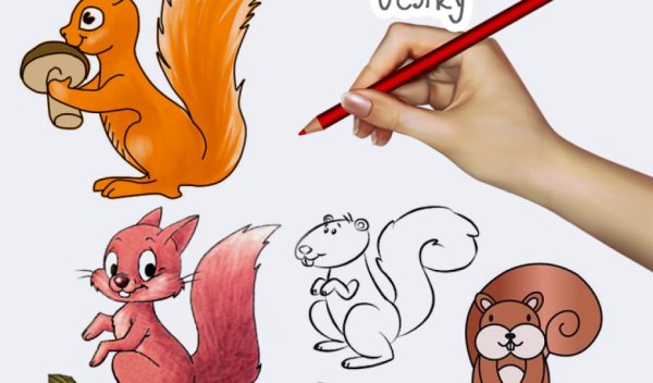 Поэтапное рисование белки