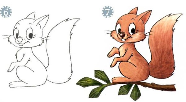 Рисунок белки карандашом для детей