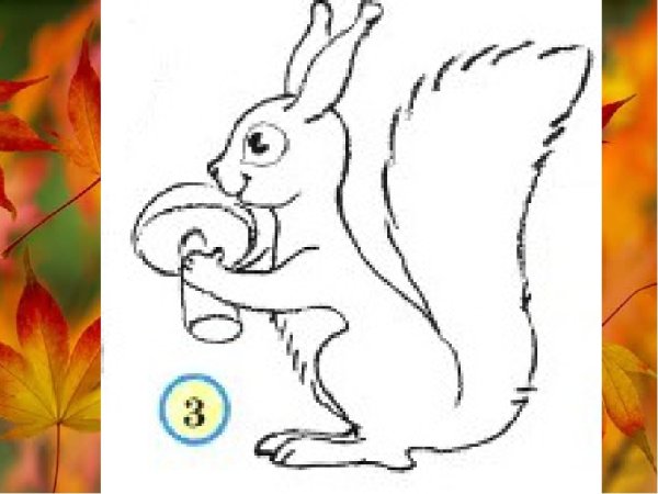 Рисование Белочка