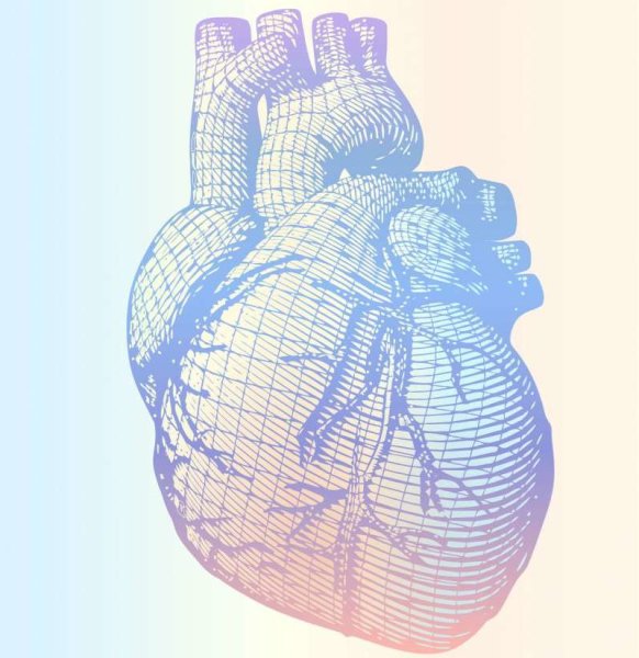 Влияние алкоголя на сердечно-сосудистую систему