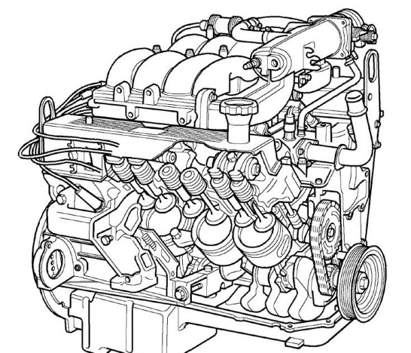 ДВС раскраска