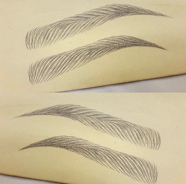 Схема волосков бровей волосковая техника