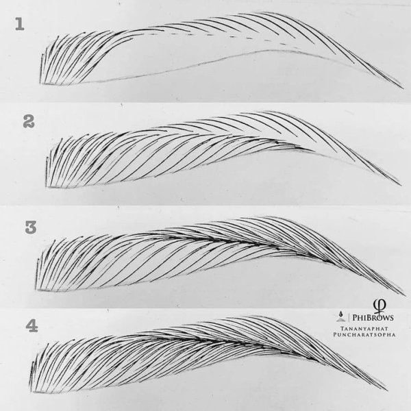 Брови Бранко Бабич