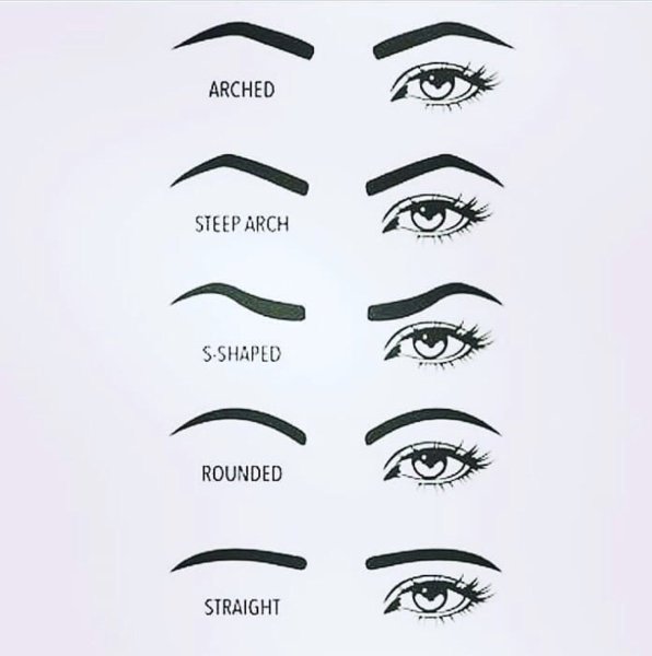 Виды бровей