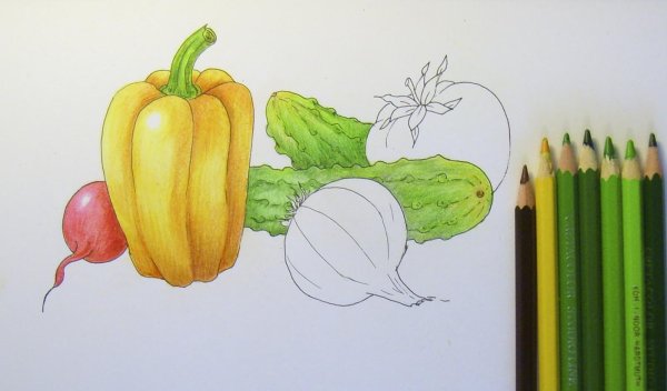 Овощи карандашом