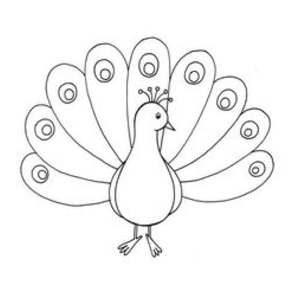 Павлины раскраска