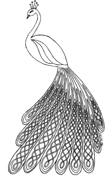 Рисунок павлина