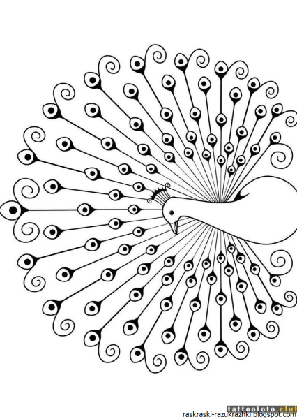 Жар птица раскраска