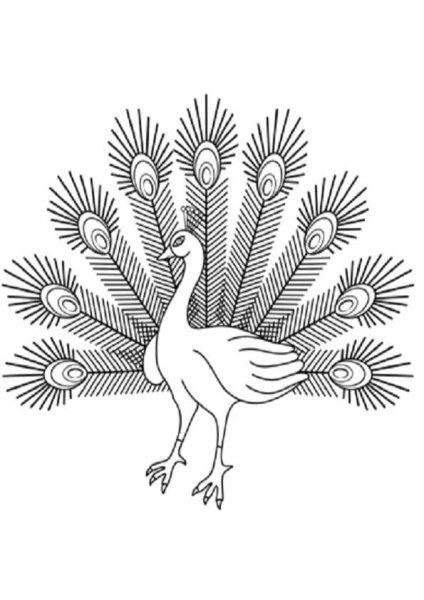 Силуэт павлина