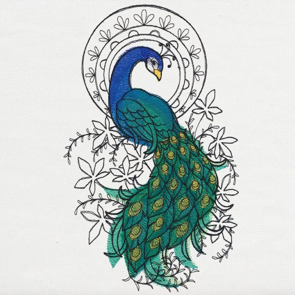 Павлин раскраска для детей