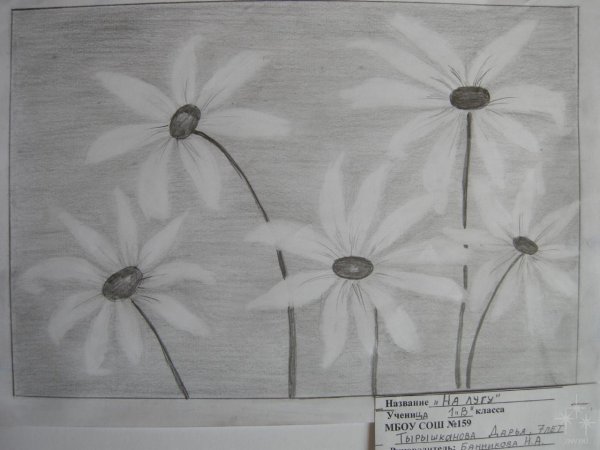 Нетрадиционное рисование простым карандашом