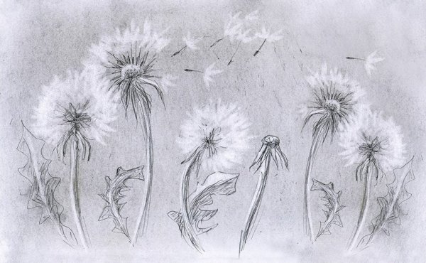 Нетрадиционное рисование ластиком