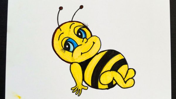Пчёлка для срисовки