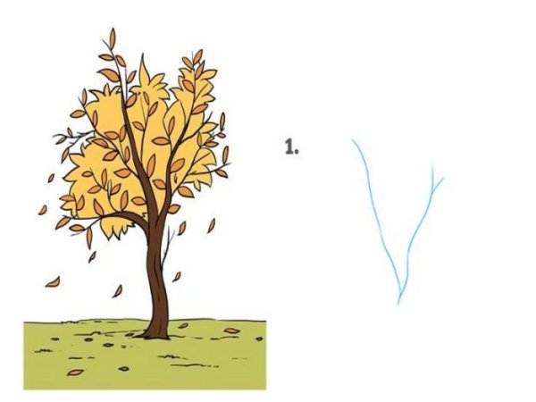 Осеннее дерево карандашом