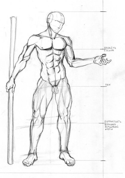 Тело человека рисунок для срисовки