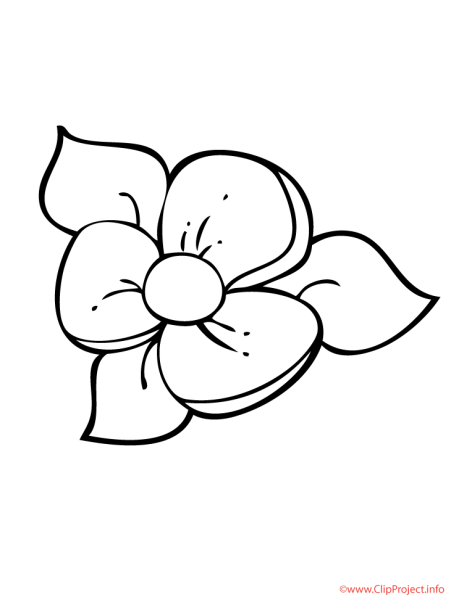 Раскраска цветы маленькие