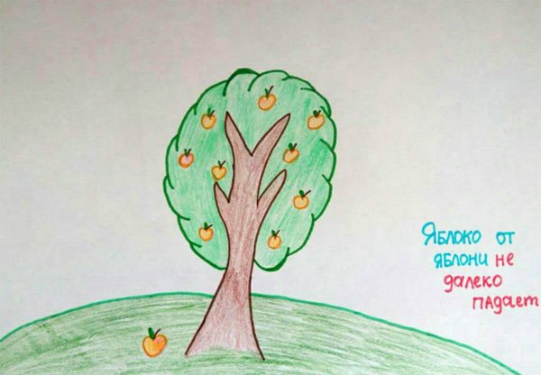 Пословицы и рисунки к ним