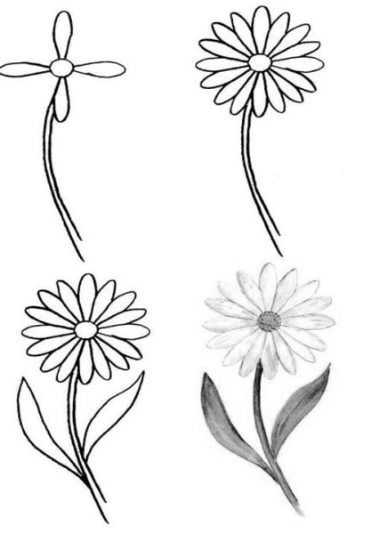 Ромашка черно белая