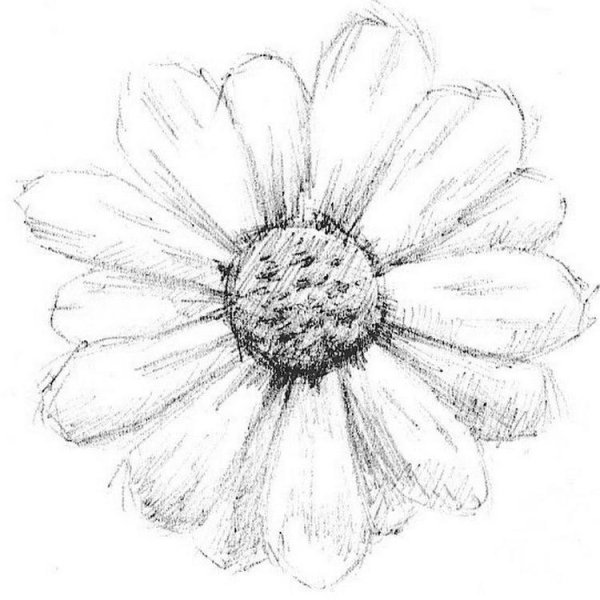 Рисование ромашки дошкольник