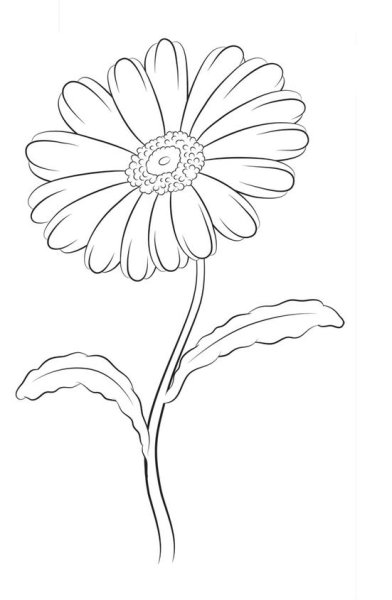 Ромашка рисунок