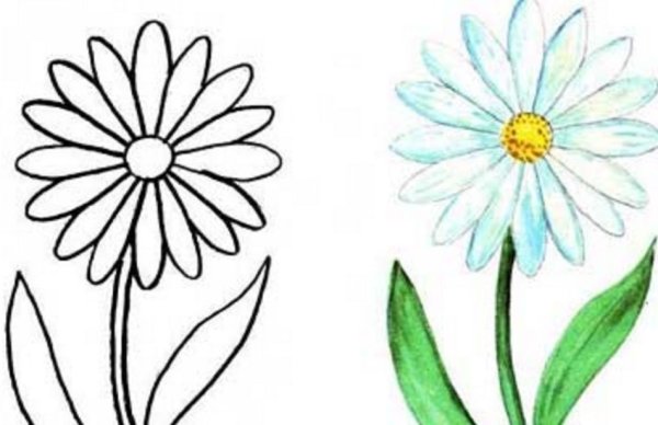 Цветы. Раскраска для малышей