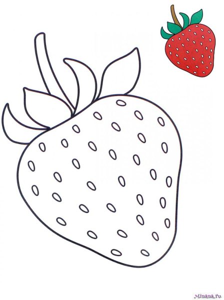 Земляника рисунок карандашом