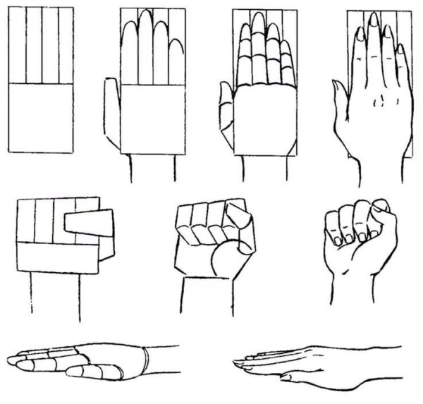 Этапы рисования рук