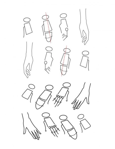 Анатомия рук кисти рук референс