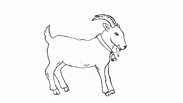 Козел рисунок карандашом