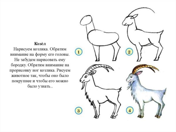 Как нарисовать козлика пошагово