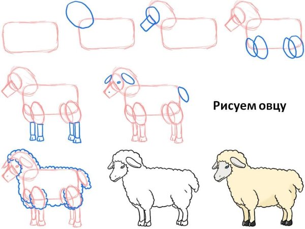 Баран Овен вид сбоку