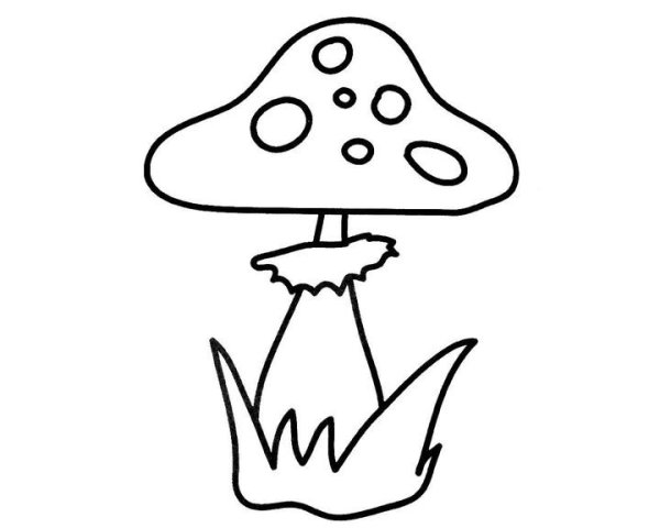 Мухомор раскраска для детей
