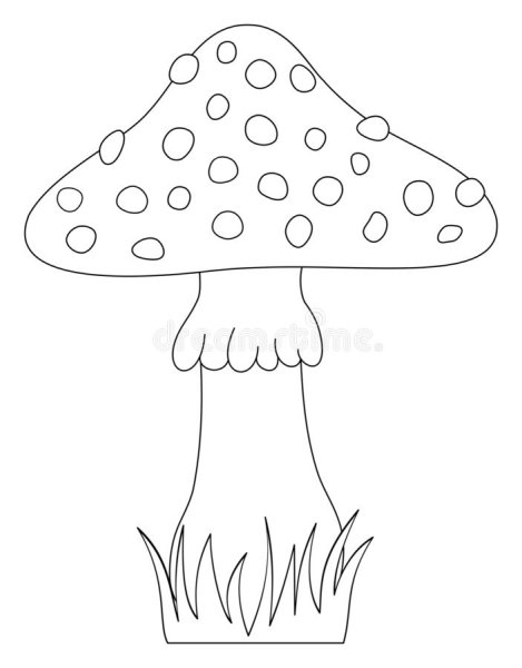 Мухомор инди КИД