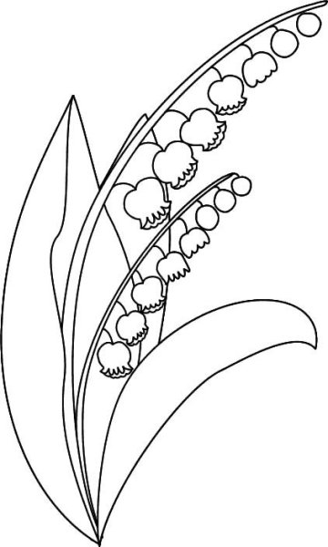 Ландыши карандашом для срисовки