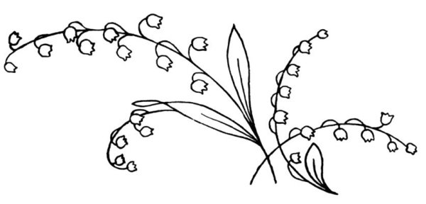 Ветка с ландышами для раскрашивания