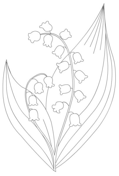 Ландыш Майский разукрашка