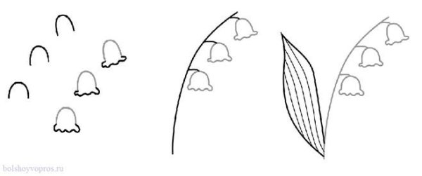 Ландыш поэтапное рисование для детей