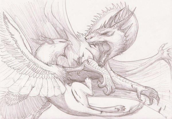 Alvia Alcedo лошади