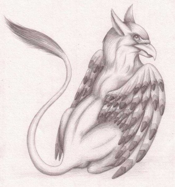 Гиппогриф раскраска из Гарри Поттера