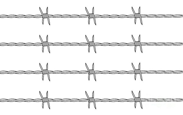 Барбара Копецки колючая проволока