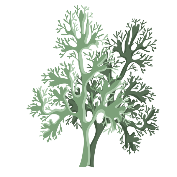 Лишайник вектор