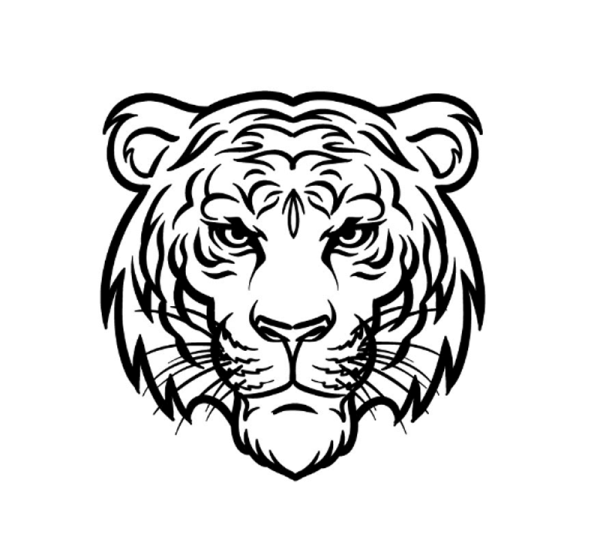 Пропорции морды тигра