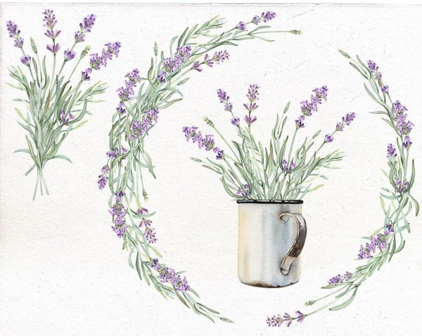 Мини рисунки лаванды