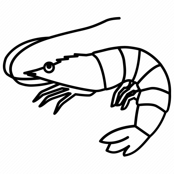 Креветка раскраска