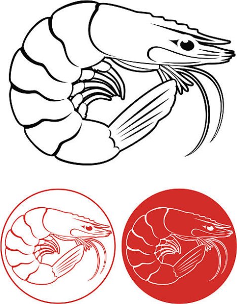 Креветка эскиз