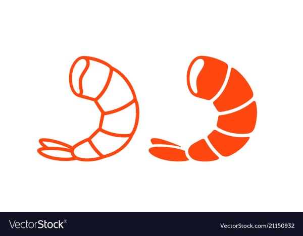 Креветка контур