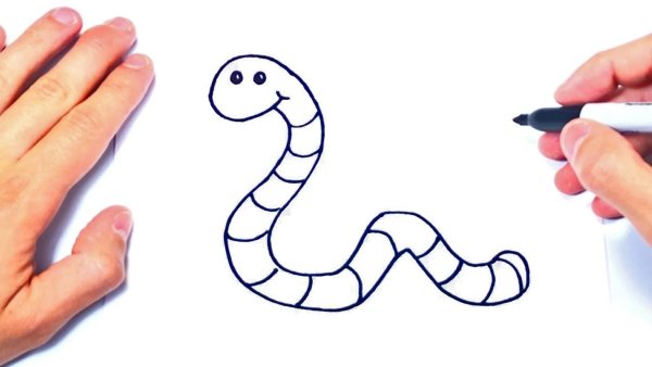 Червячок раскраска для детей