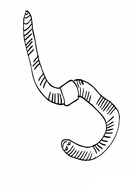 Червяк рисунок легкий